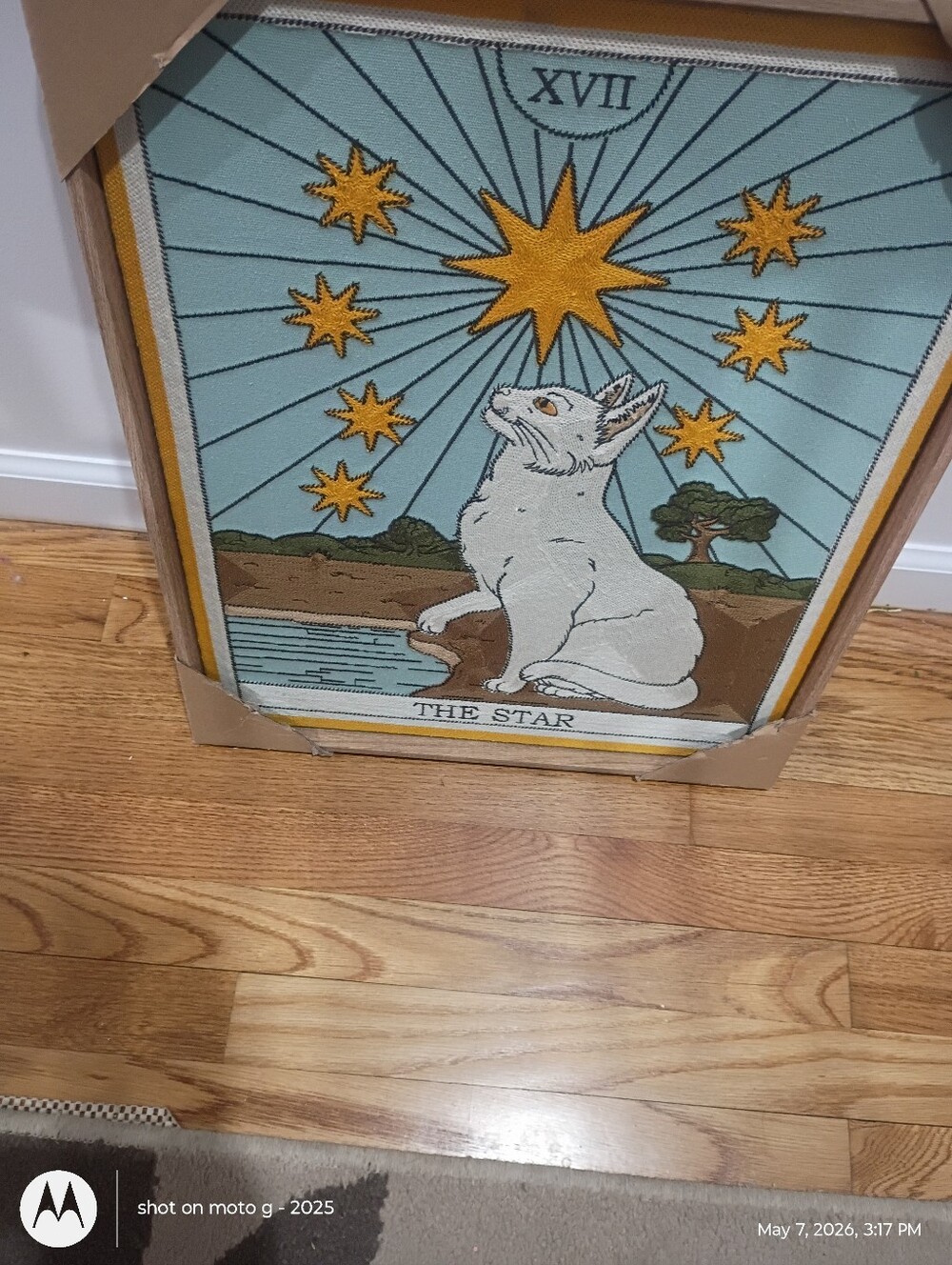 Viral Cat Tarot “The Star” Embroidered Framed Wall Art (17” x 21”)